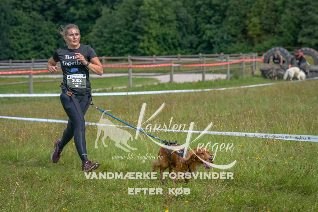 1324_ZZ91001 | kk-dogfotos