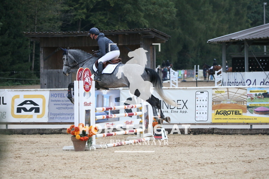 DL2Q6531 | Willkommen bei Brunnmayr - Design & Fotografie – Ihrem Spezialisten für Reitturniere und Pferdeveranstaltungen in Oberösterreich, Salzburg und Bayern! Seit über 17 Jahren sind wir leidenschaftlich dabei.