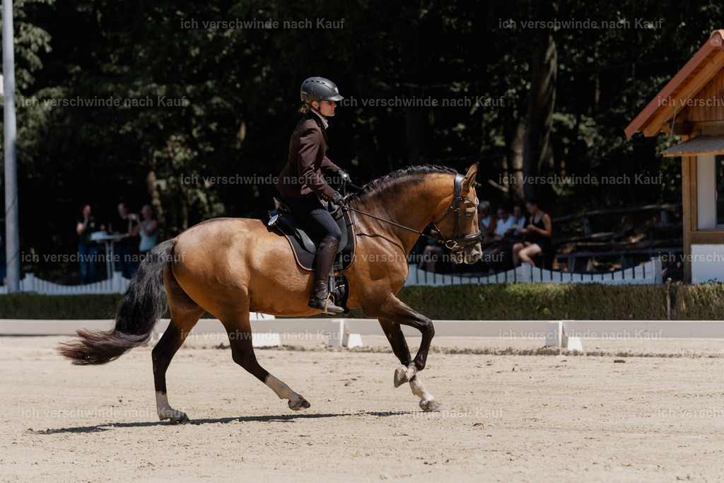 WE_DR_23_SinaFilmArt_IN03024 | working equitationturnier fotograf videograf stoibphotography marixx film working equitation deutschland reitsport turnierfotografie eventfotografie equestrian events