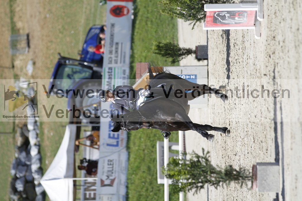 _MG_0558 | equestrian-live-com