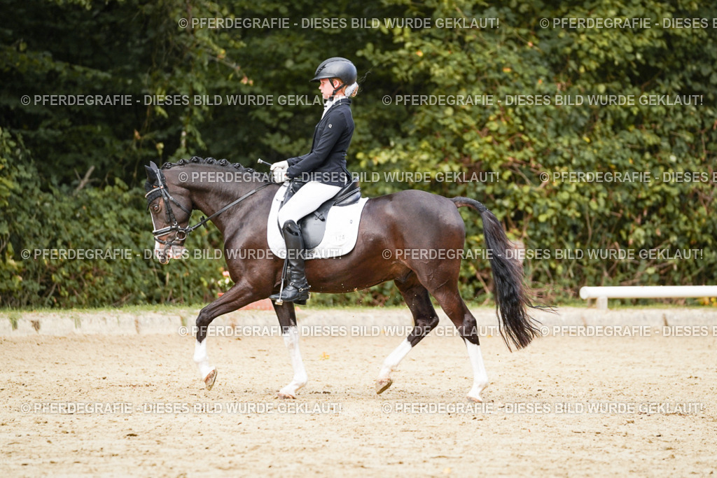 DSC03764 | Pferdegrafie