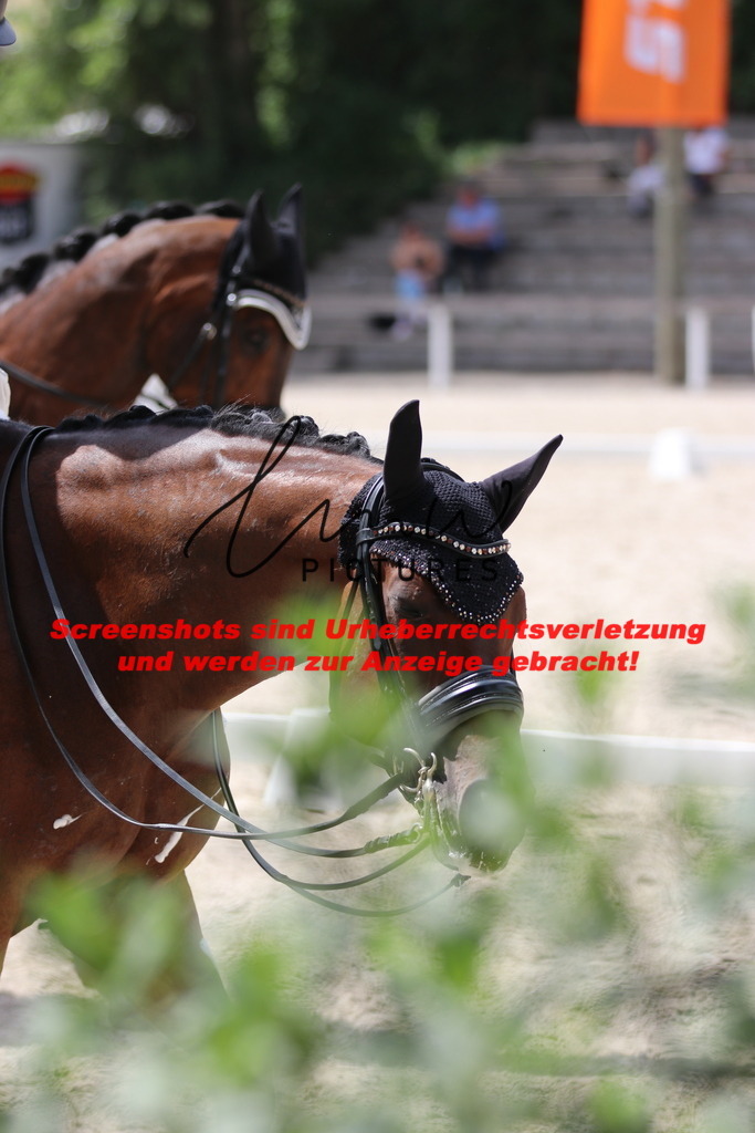 IMG_1927 | lmwpictures - Realisiert mit Pictrs.com