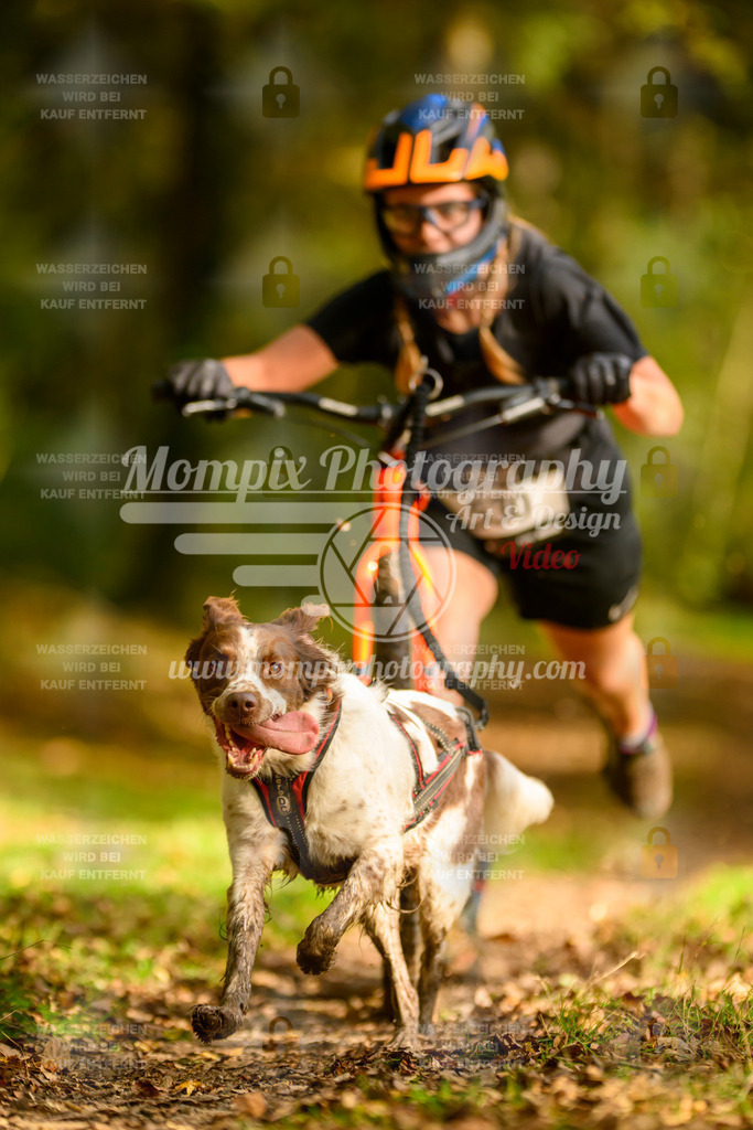 MompixPhotography_20TSB_E1_DS1-39 | PayLife