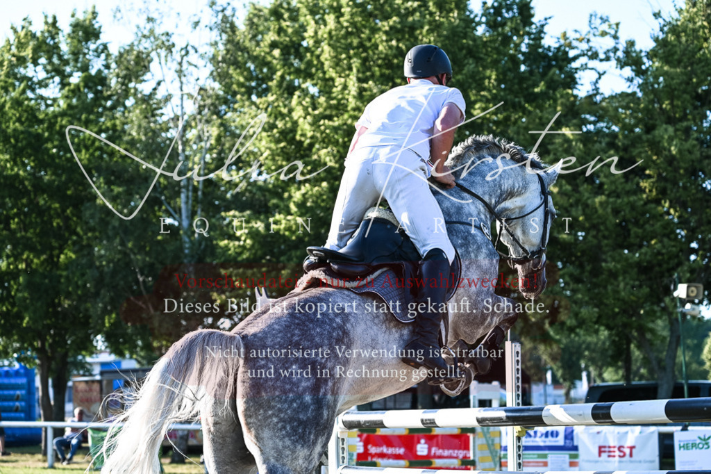 DSC_3151 | Pferde- und Turnierfotografie in Westsachsen. Pferdeportraits, Auftragszeichnungen und intuitive Kunst.