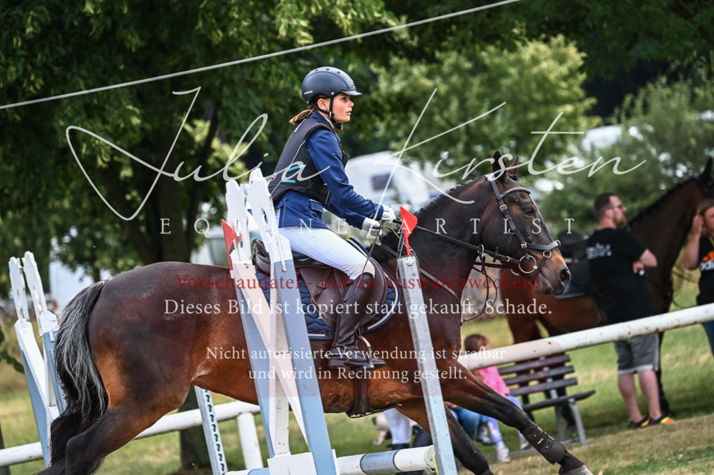 DSC_8221 | Pferde- und Turnierfotografie in Westsachsen. Pferdeportraits, Auftragszeichnungen und intuitive Kunst.
