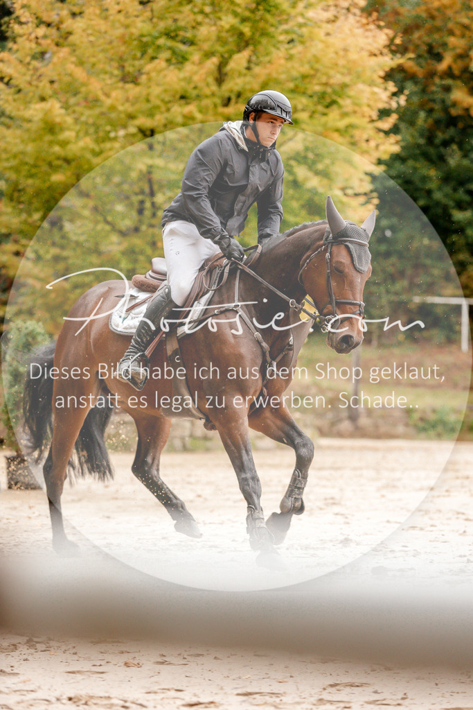 3I6A5918 | Stimmungsvolle Portraits und Reitsportfotografie im Ruhrgebiet und im Münsterland.

Pferdefotografie, Hundefotografie, Tierfotografie, Reportagen, Portraits von Tier und Mensch, Turnierfotografie in Bochum, Recklinghausen, Marl, Haltern am See, Dülmen.. - Realisiert mit Pictrs.com