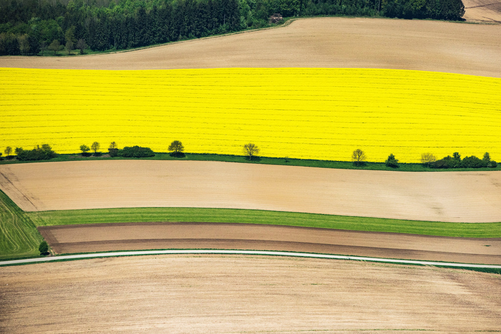 dr__0012644.jpg | FALKENBERG 11.05.2017 Feld- Landschaft gelb blühender Raps- Blüten in Falkenberg im Bundesland Bayern, Deutschland. // Field landscape yellow flowering rapeseed flowers in Falkenberg in the state Bavaria, Germany. Foto: Daniel Reiter