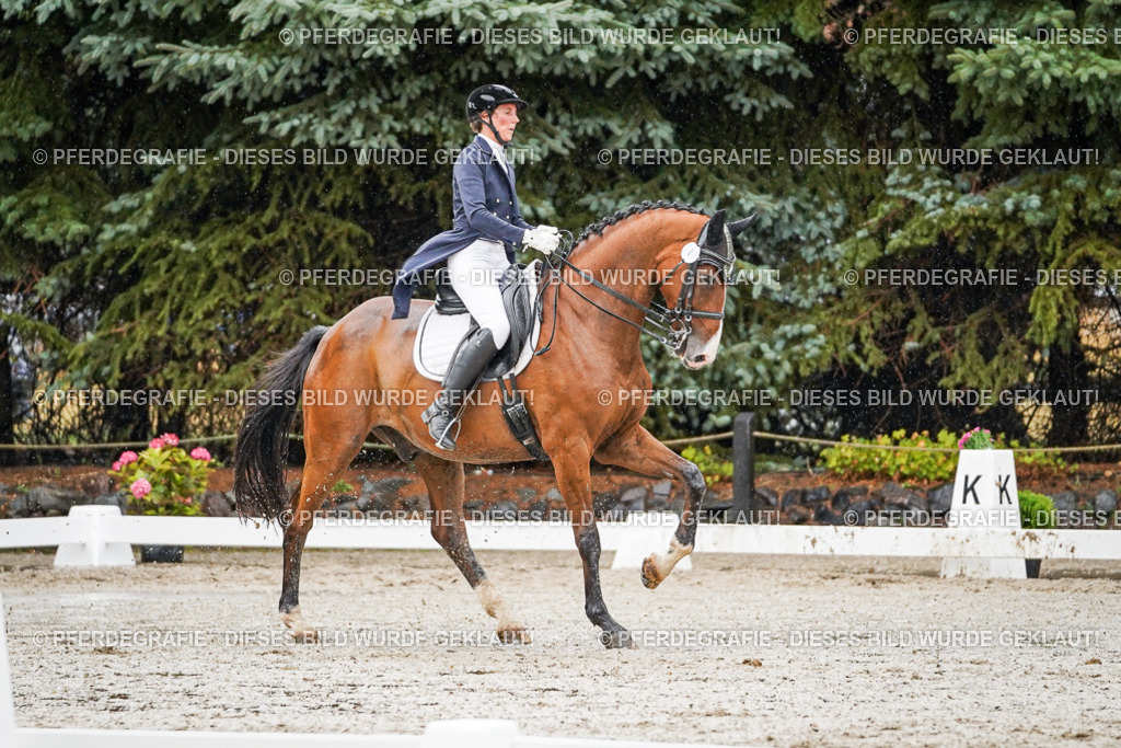 DSC08627 | Pferdegrafie