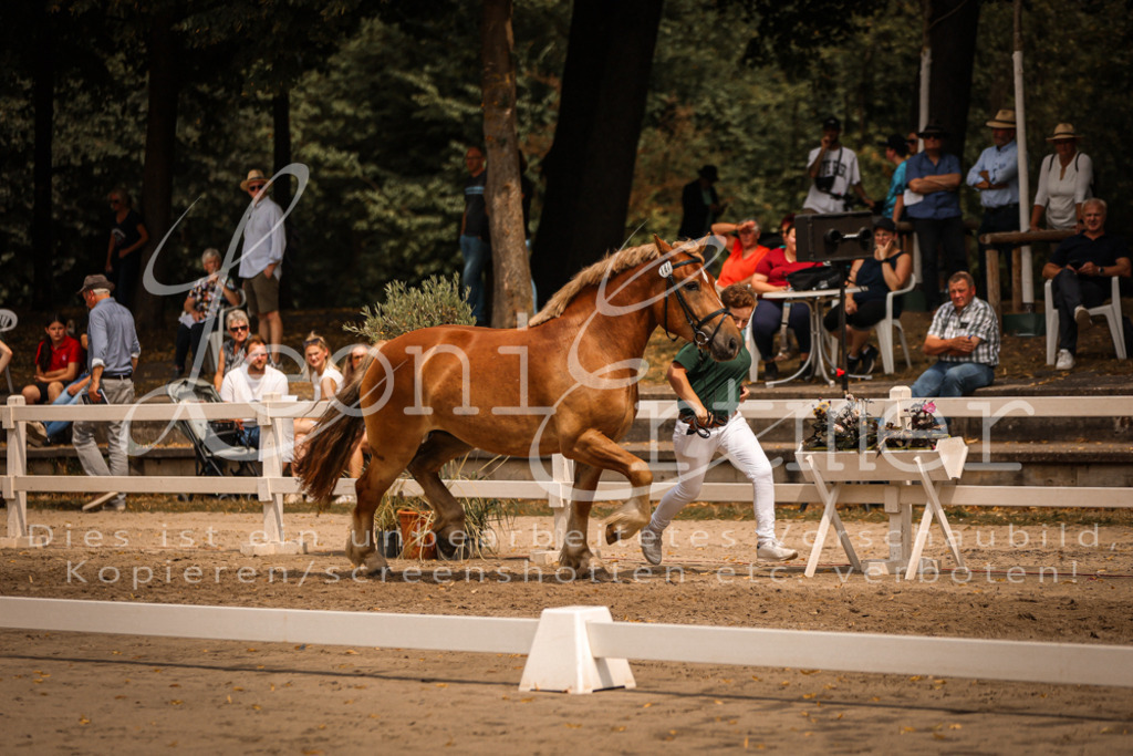 3.Sa00005 | Leoni Ertmer Photography - Realisiert mit Pictrs.com