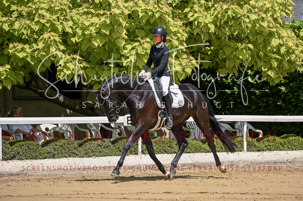 Schugtsche-Aluta25-48.Reitpferfdeprf.-209 | Schugtsche Fotografie - Realisiert mit Pictrs.com