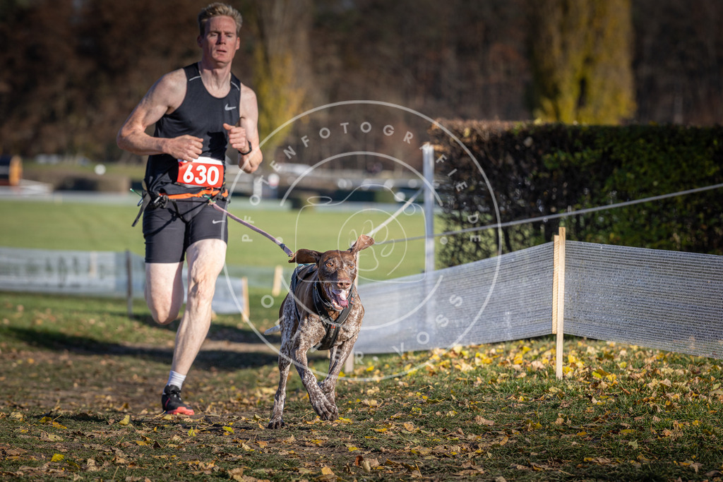 CaniXpix_DV3A0104 | Hundefotografie, Tierfotograf, Pfotenfotografie, Fotoshooting Hund, Hunde Portrait, Hundesport, Hundeportraits, Heideshooting, Hunde, Sportfotograf, Hundefotograf, Turnierhundsport, THS,  - Realisiert mit Pictrs.com