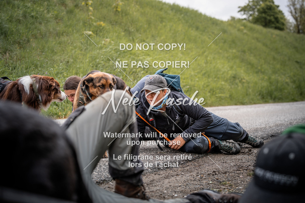 nelerasche_SoZieleinlauf_200 | nelerasche