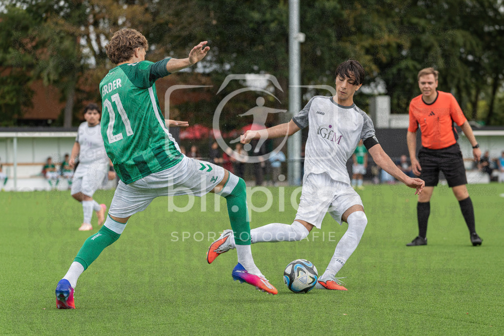 SV Werder Bremen - SV Grohn | SV Werder Bremen - SV Grohn