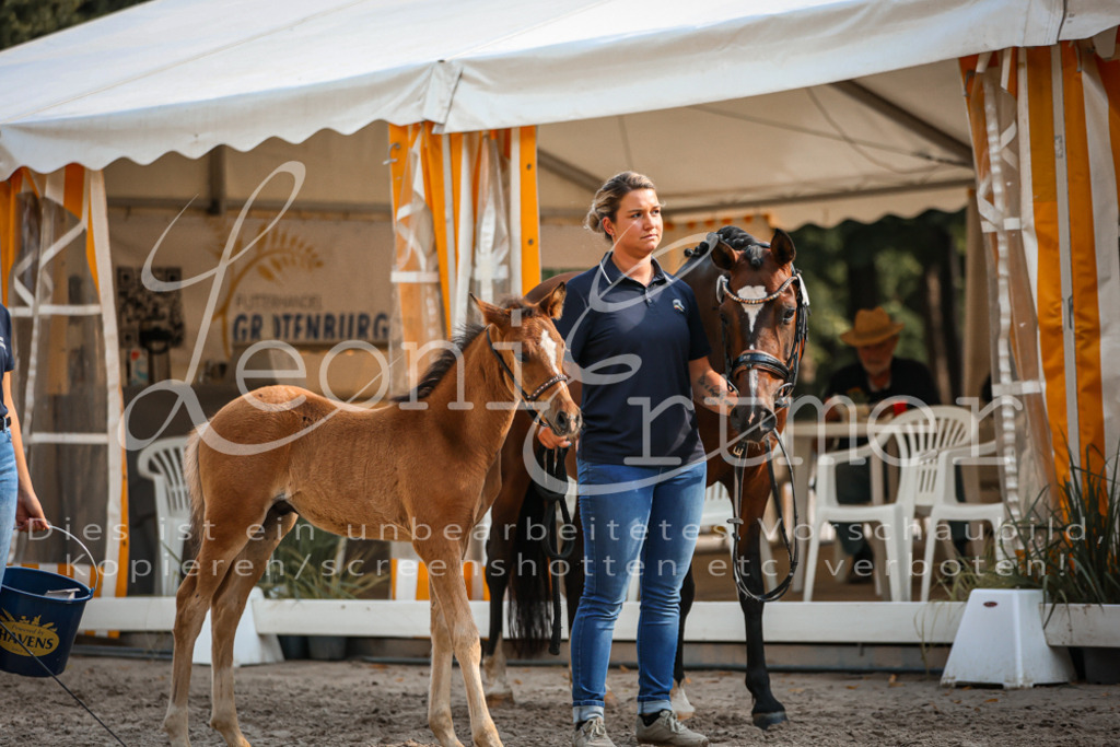 11.DoRP00180 | Leoni Ertmer Photography - Realisiert mit Pictrs.com