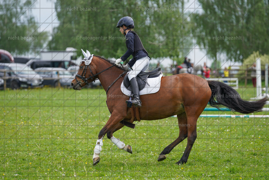 20240509-FAH02478 | Turnierbilder der Turnierfotografen Bayern, Pferdesport Fotografie, Reitsportbilder, Turnier Landberg am Lech, Turnierbilder bayern, Fotoagentur Herrmann