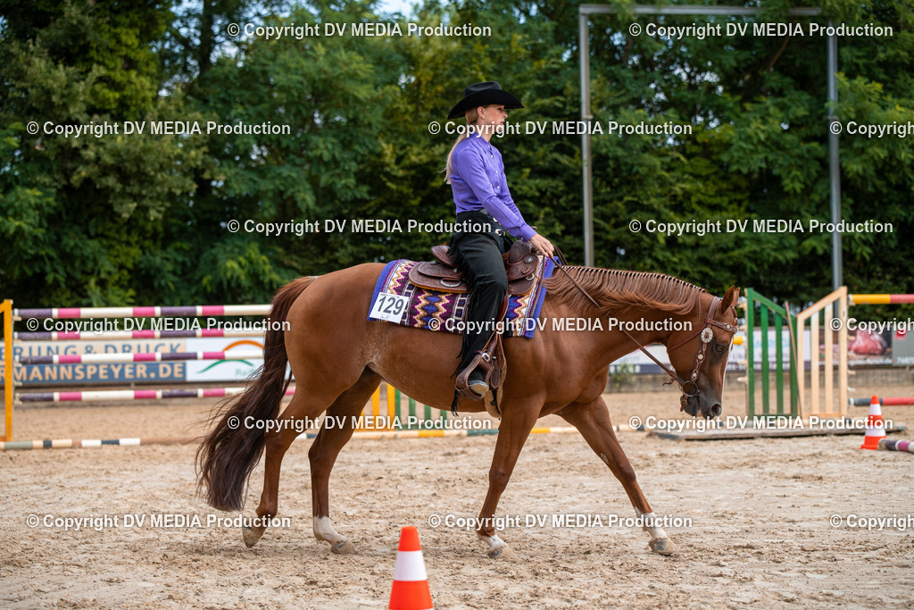 ZS3_9352 | dv-media-shop - Realisiert mit Pictrs.com