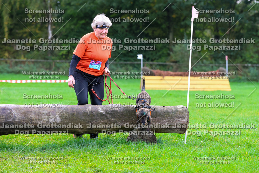 Dog Paparazzi -  SD1026-2100 | Dog Paparazzi Jeanette Grottendiek Fotografie & Videografie - Realisiert mit Pictrs.com