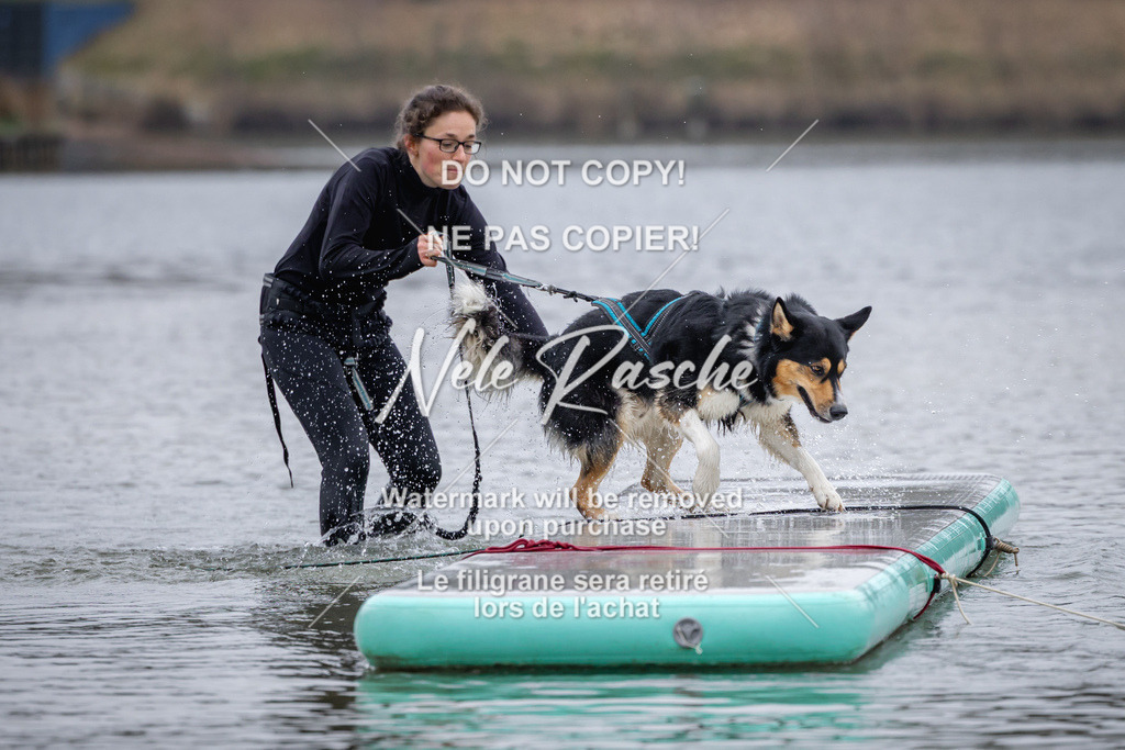 nelerasche_Hulsbeek_Sa1600-1700_137 | nelerasche