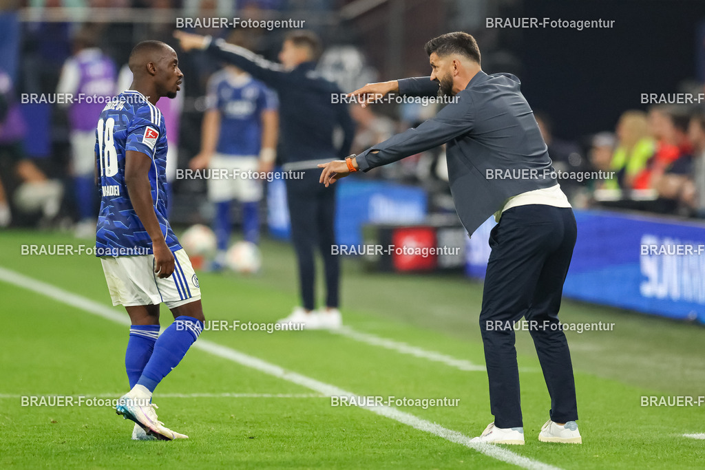 1_S04BER_20250801_2508.JPG -  - FC Schalke 04 - Hertha BSC Berlin - 2. Bundesliga | Gelsenkirchen, Deutschland, 01.08.25: Trainer Miron Muslic (FC Schalke 04) gestikuliert, Gestik waehrend des Spiels der 2. Bundesliga zwischen FC Schalke 04 - Hertha BSC Berlin in der Veltins-Arena am 01. August 2025 in Gelsenkirchen, Deutschland. (Foto von Stefan Brauer/Brauer-Fotoagentur)DFB/DFL REGULATIONS PROHIBIT ANY USE OF PHOTOGRAPHS AS IMAGE SEQUENCES AND/OR QUASI-VIDEO.