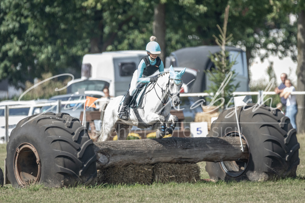 20250907-_3LR7892 | Tierfotografie Pferde, Hunde, Katzen, Haustiere.
Turnierfotografie Reitturniere, Reiten, Springreiten, Dressur in Hanau, dem Main-Kinzig-Kreis und dem Rhein-Main- Gebiet um Frankfurt