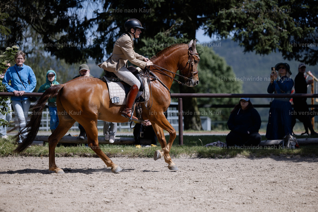 KlasseM_stoibphotography_C2_C9312.CR3 | working equitationturnier fotograf videograf stoibphotography marixx film working equitation deutschland reitsport turnierfotografie eventfotografie equestrian events