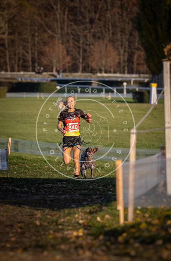 CaniXpix_DV3A3587 | Hundefotografie, Tierfotograf, Pfotenfotografie, Fotoshooting Hund, Hunde Portrait, Hundesport, Hundeportraits, Heideshooting, Hunde, Sportfotograf, Hundefotograf, Turnierhundsport, THS,  - Realisiert mit Pictrs.com