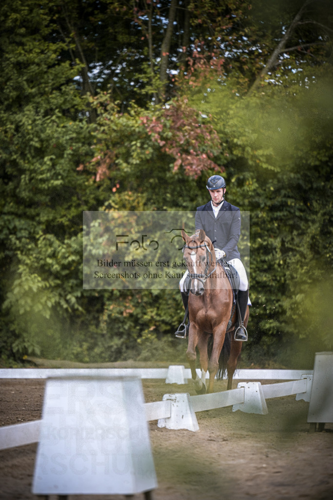 DOS_0454 | Entdecke hochwertige Reitturnierfotos von Foto Oger. Professionell, emotional und authentisch – jetzt Lieblingsmomente im Shop bestellen.Deutschlandweite Turnierfotografie. - Realisiert mit Pictrs.com