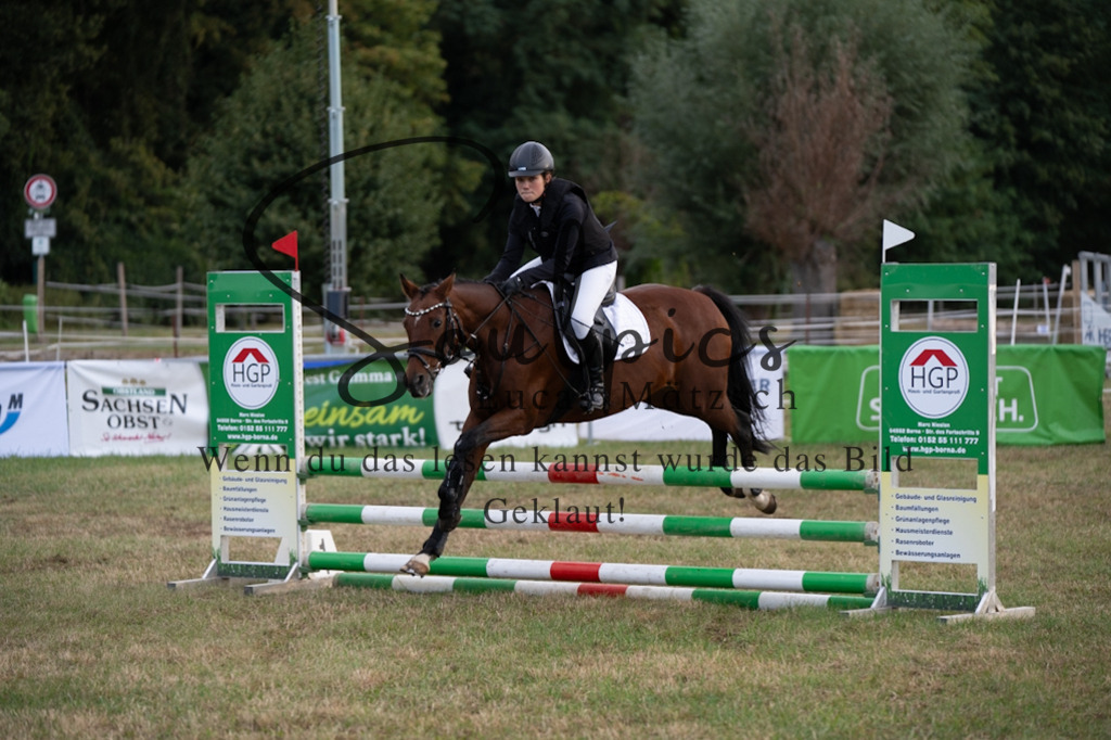 A7V07939 | Pferdefotograf