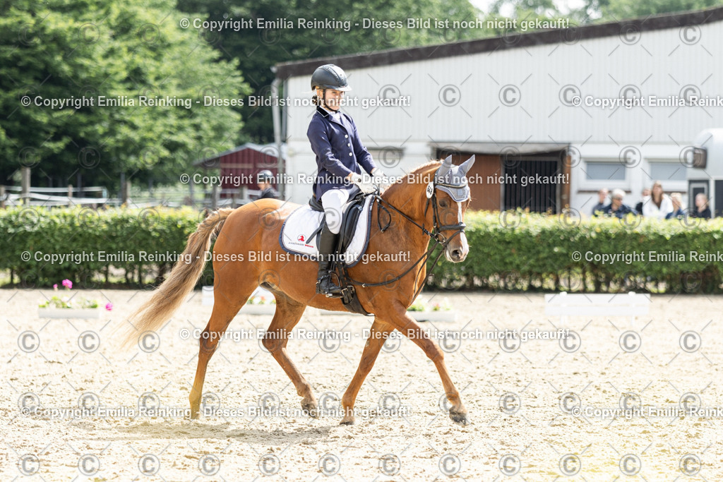 CL5A6507 | Emilia Reinking Fotografie - Realisiert mit Pictrs.com