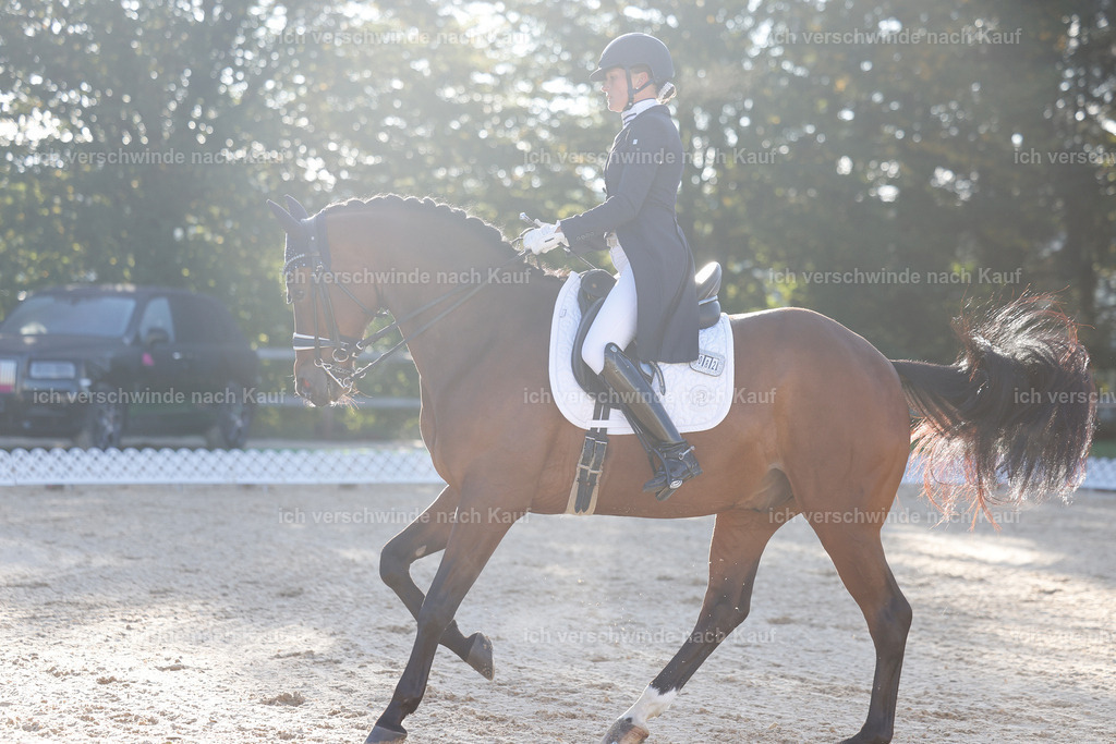 09_1-082-DRESSUR  S_  -StoibPH-5462 | working equitationturnier fotograf videograf stoibphotography marixx film working equitation deutschland reitsport turnierfotografie eventfotografie equestrian events