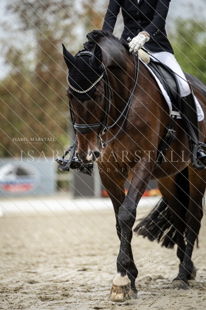 DK5A9829 | Isabel Marstall Fotografie - Realisiert mit Pictrs.com