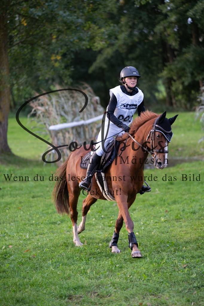 A7V02820 | Turnier/Reitfotograf