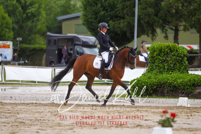 DKP40623 | Turniersportfotografie; Pferdefotografie; Dressurfotografie