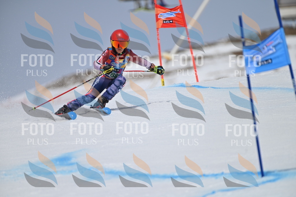 BGV_3649 | holidayphoto