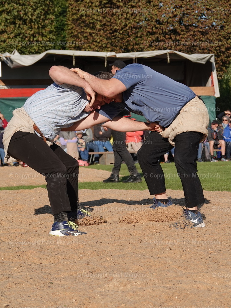 DSC05537 | Schwingen - Realisiert mit Pictrs.com