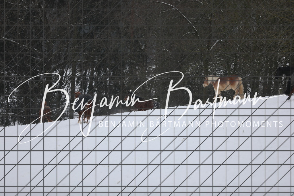 AZ2A3372 | Benjamin Bartmann Photomoments