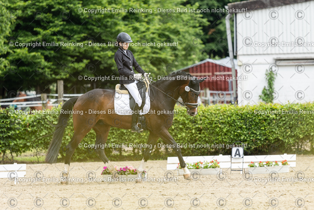 CL5A0026 | Emilia Reinking Fotografie - Realisiert mit Pictrs.com