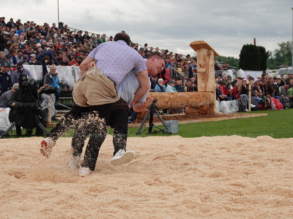 DSC06366 | Schwingen - Realisiert mit Pictrs.com