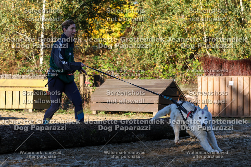 Dog Paparazzi - Strongdog 10-25-940 | Dog Paparazzi Jeanette Grottendiek Fotografie & Videografie - Realisiert mit Pictrs.com