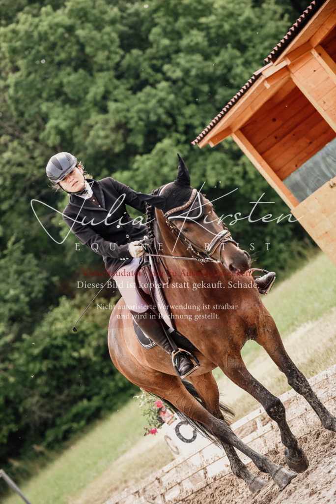 DSC_0764 | Pferde- und Turnierfotografie in Westsachsen. Pferdeportraits, Auftragszeichnungen und intuitive Kunst.