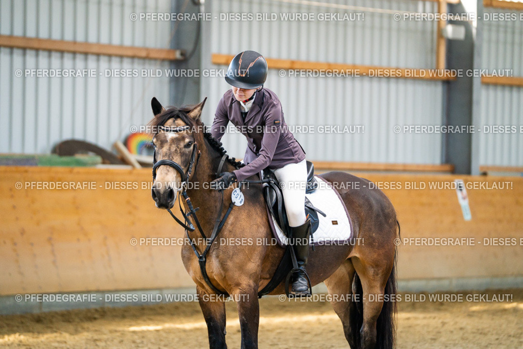 DSC01208 | Pferdegrafie