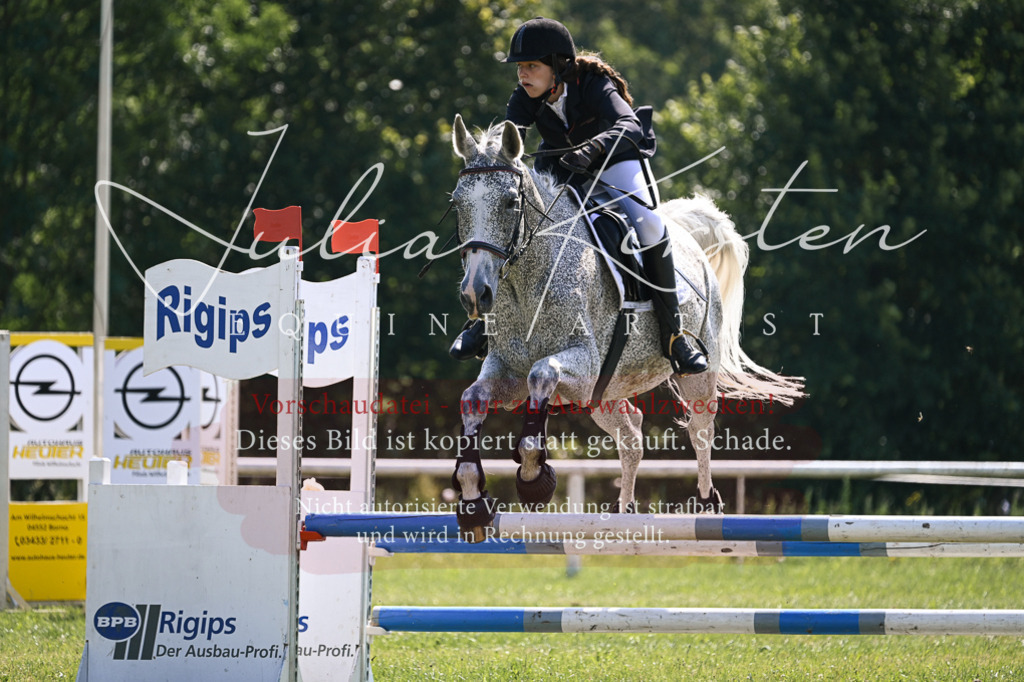 DSC_8987 | Pferde- und Turnierfotografie in Westsachsen. Pferdeportraits, Auftragszeichnungen und intuitive Kunst.