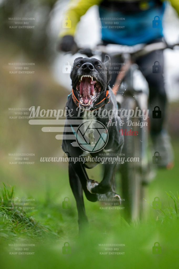 TSB_2023_E8_Bike-46 | PayLife