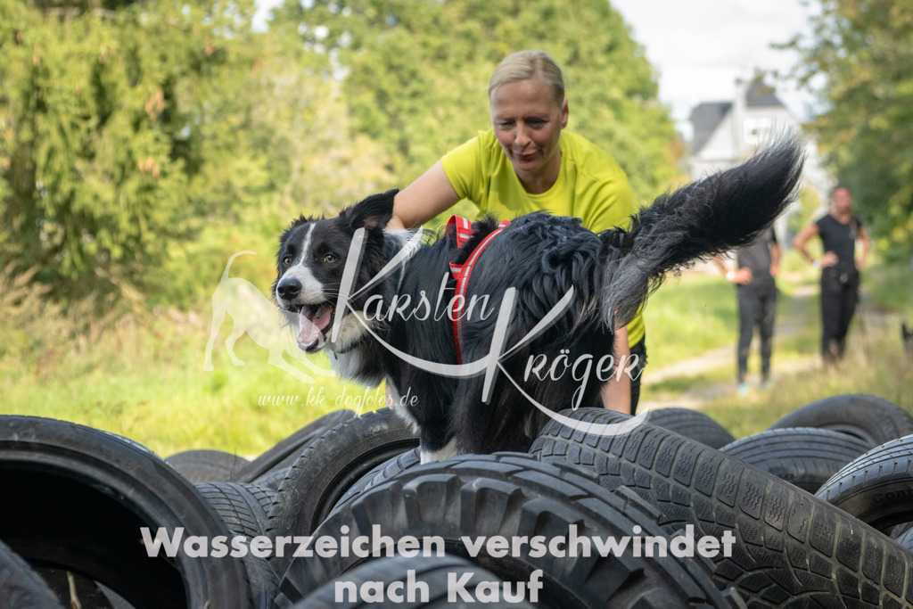 1537_ZZ91882 | kk-dogfotos
