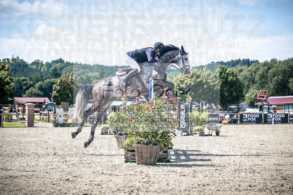 DOS_4434 | Entdecke hochwertige Reitturnierfotos von Foto Oger. Professionell, emotional und authentisch – jetzt Lieblingsmomente im Shop bestellen.Deutschlandweite Turnierfotografie. - Realisiert mit Pictrs.com