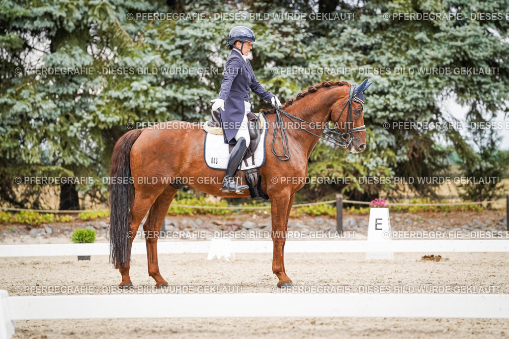 DSC05850 | Pferdegrafie