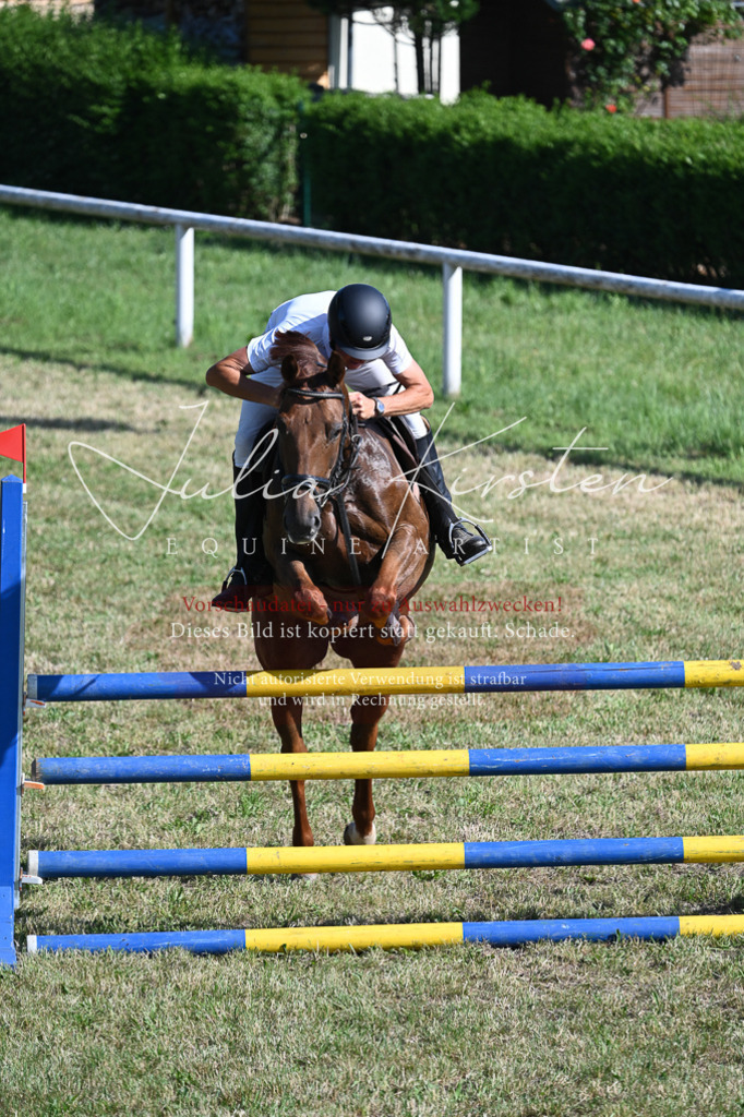 DSC_2254 | Pferde- und Turnierfotografie in Westsachsen. Pferdeportraits, Auftragszeichnungen und intuitive Kunst.
