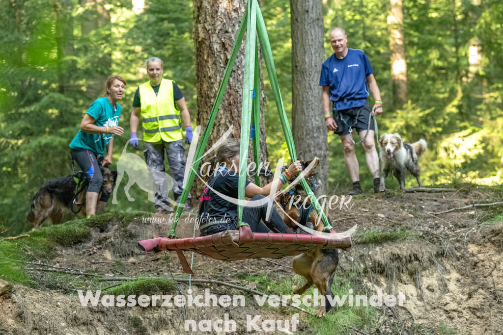 1358_ZZ94006-Bearbeitet | kk-dogfotos