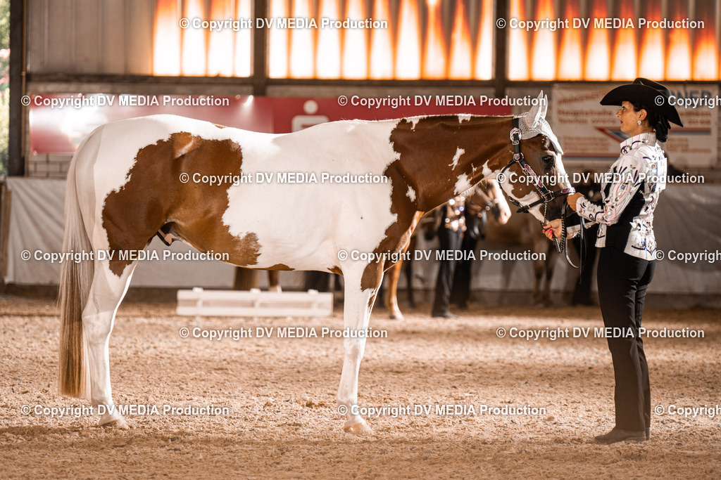 ZH200252 | dv-media-shop - Realisiert mit Pictrs.com