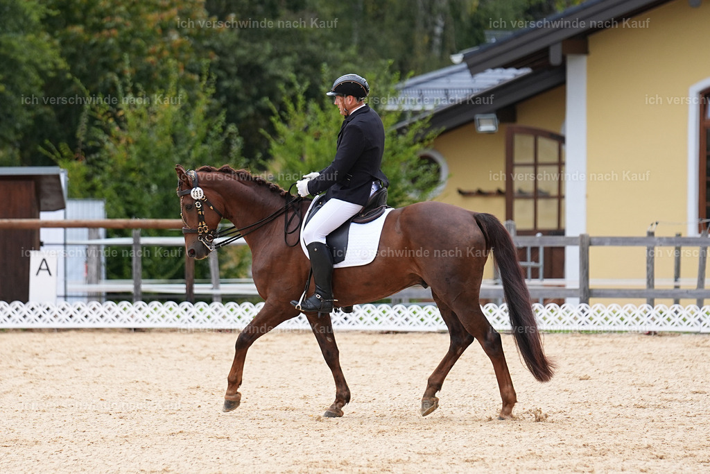 3-239-Dressur M_-Marixx-1909 | working equitationturnier fotograf videograf stoibphotography marixx film working equitation deutschland reitsport turnierfotografie eventfotografie equestrian events